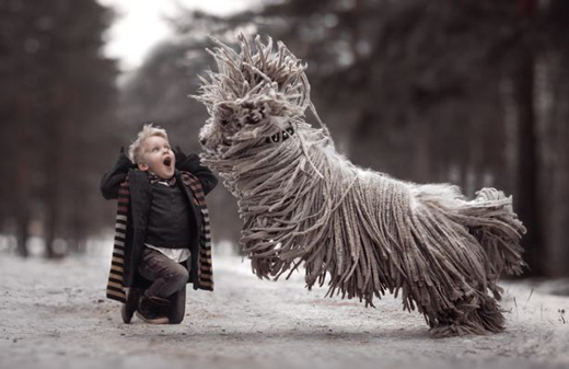 dog